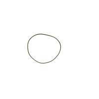 Joint 16 X 0.3 mm  montre - rond